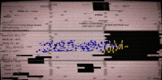 România în noile documente făcute publice din Dosarele Epstein